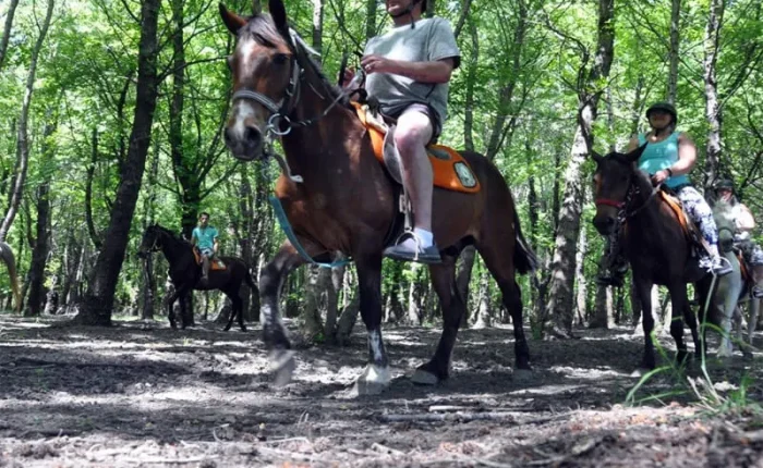 city of side horse riding 1