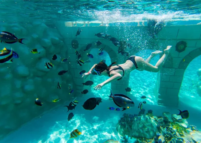 Seapark Aquarium Swimm